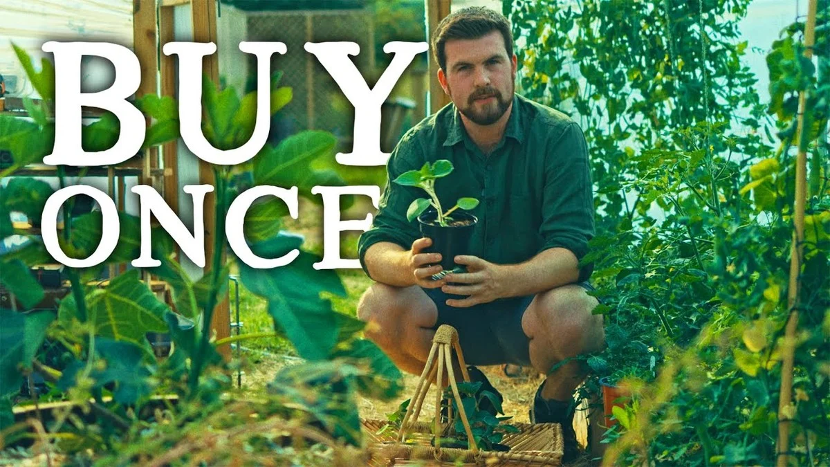 Co zahradníci nikdy nekupují v obchodních řetězcích? Překvapivý seznam. - image 2