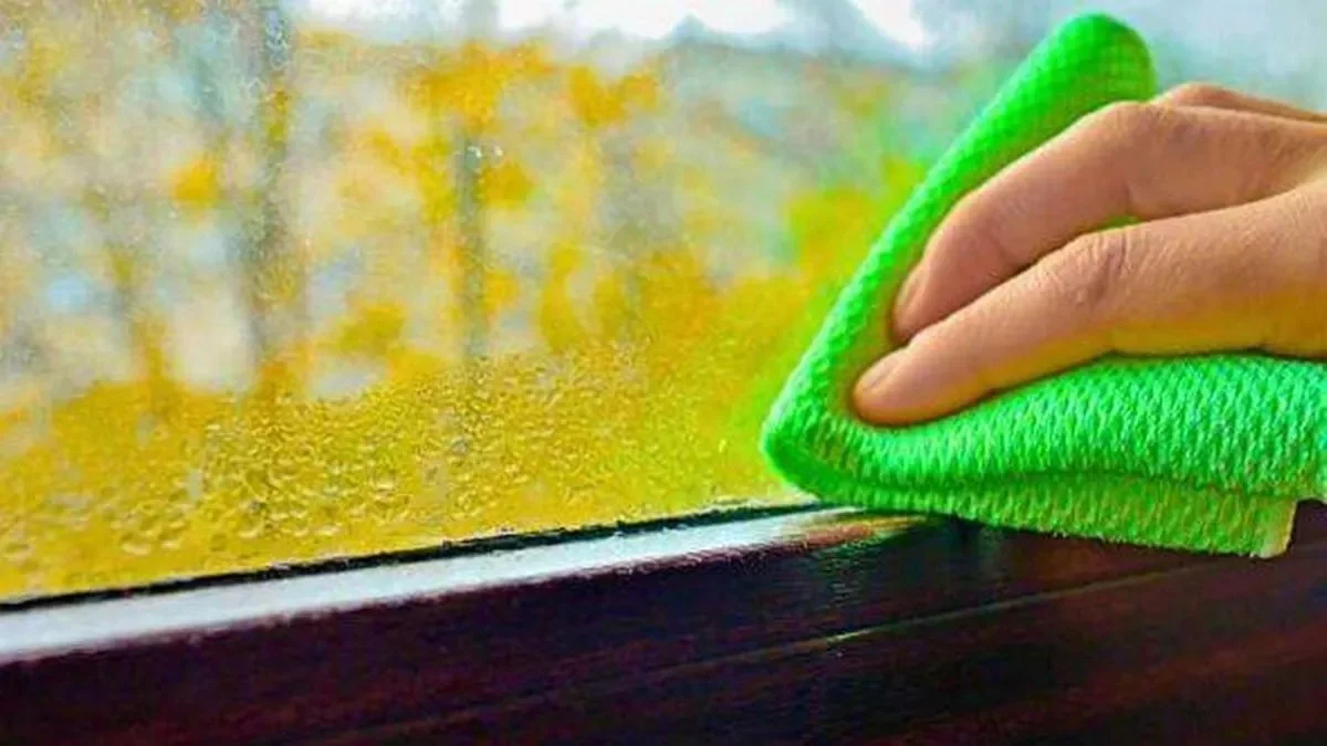 Přidejte jen 3 kapky této kuchyňské tekutiny a vaše okna se už nikdy neorosí - image 2