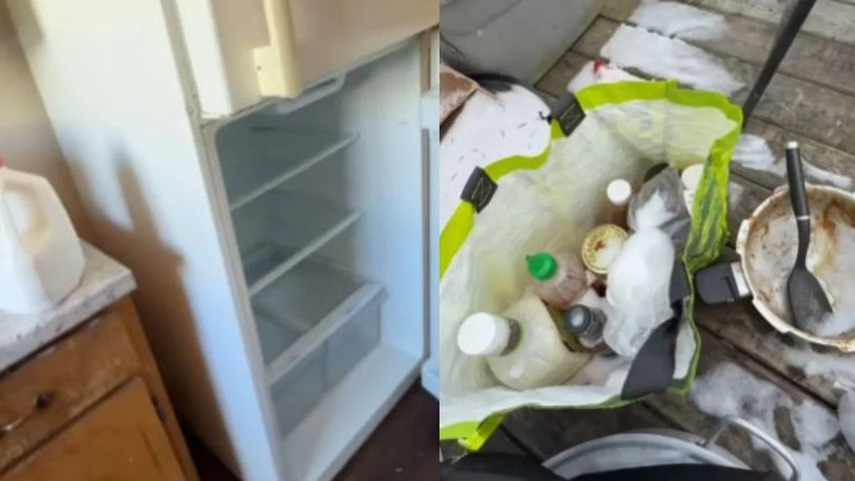 Tohle nikdy nedávejte do mrazničky když teploty klesnou pod -10°C (většina lidí to neví) - image 2