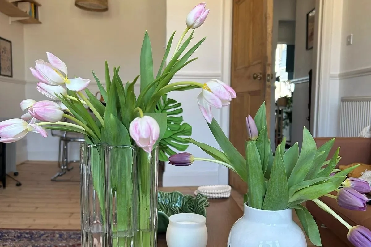 Mince ve váze s tulipány prodlouží jejich životnost o týden - image 1