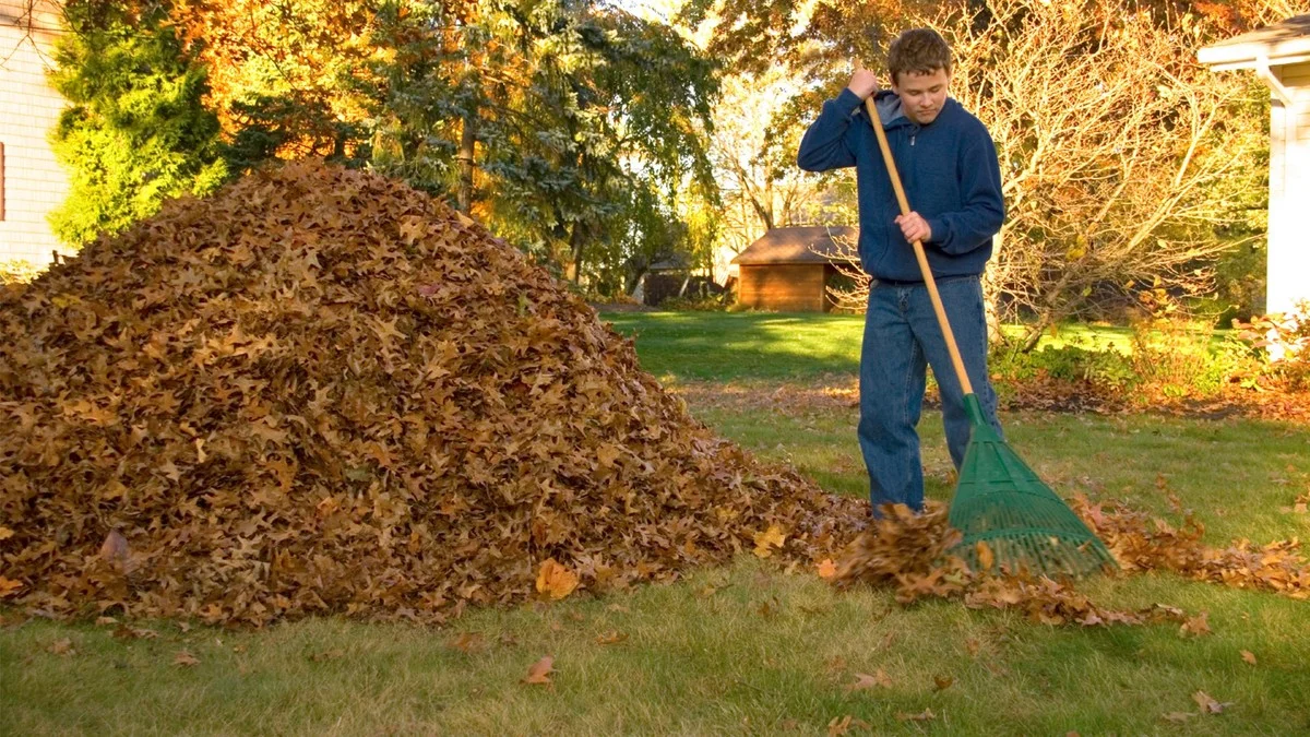 Co zahradníci dělají v říjnu, aby měli nádherný trávník na jaře. - image 1