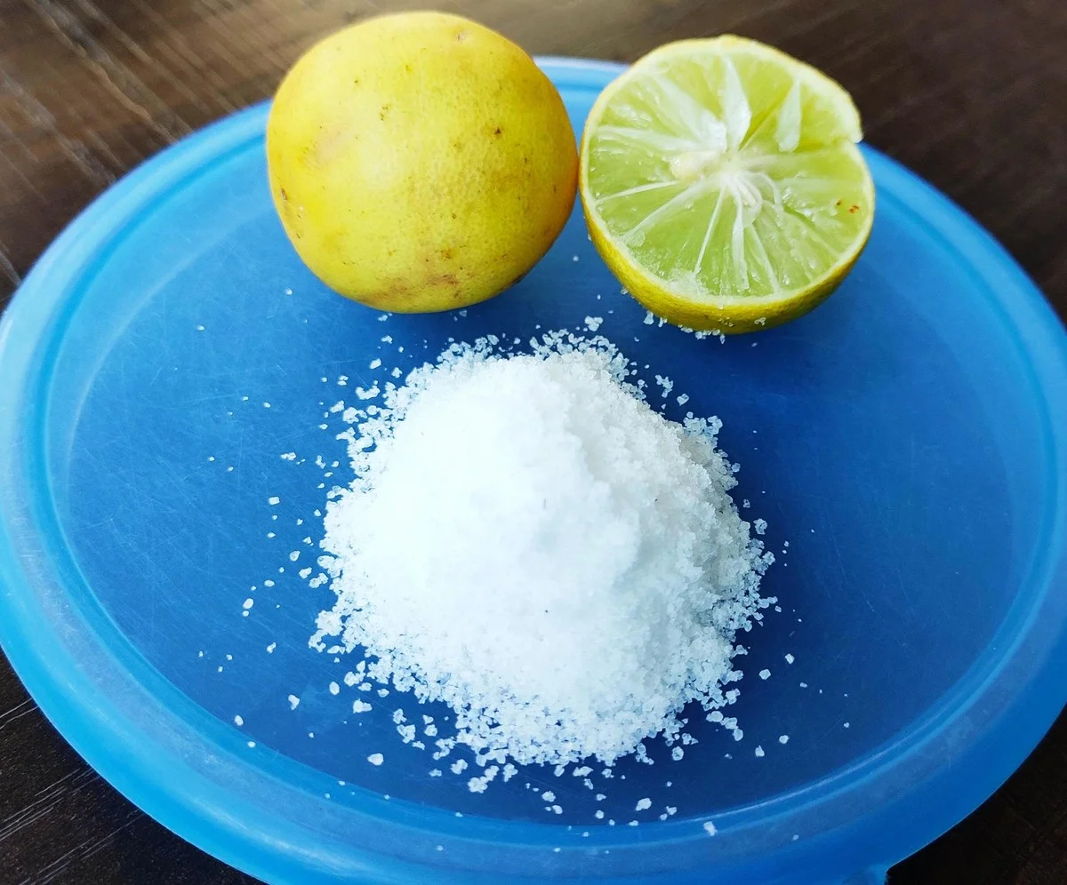 Citron a sůl na dřevěném prkénku: Kuchyňský trik pro odstranění bakterií.
