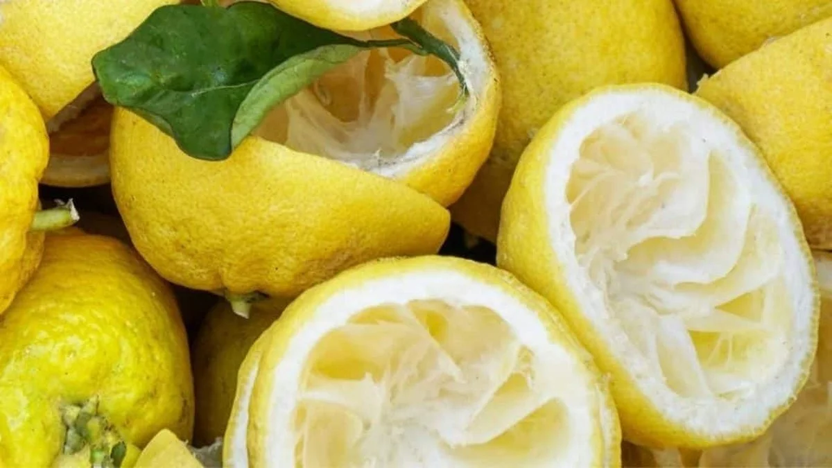 Citronová kůra na vodní kámen: Přírodní řešení, které funguje lépe než chemie