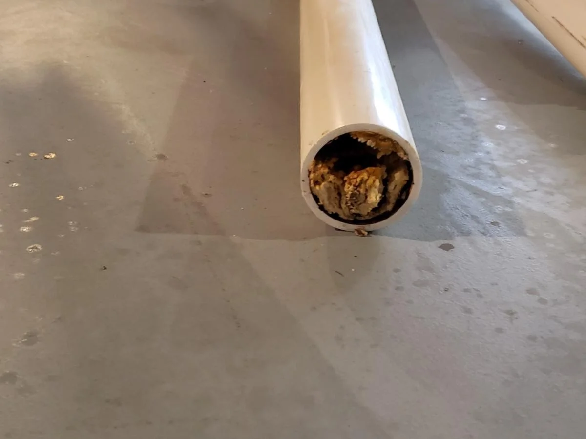 Instalatéři varují: Nikdy nevylévejte kávovou sedlinu do odpadu.